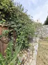 Grand terrain de la vente de notre maison d'hôte - gîte à vendre avec piscine à Perpignan (21).webp